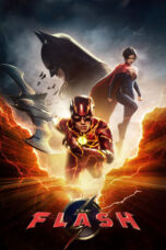 The Flash Hindi English movies4you.pk